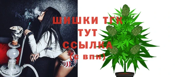 дживик Балахна